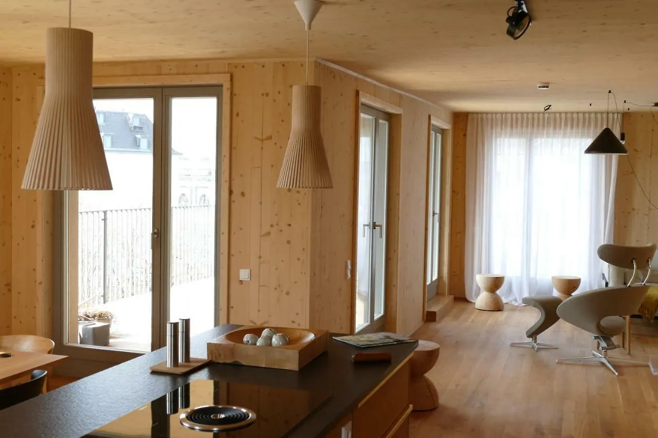 Holzpalais - Penthouse Apartment Dresden 0*,